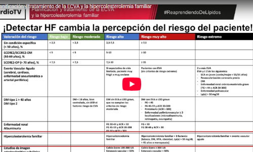 Planificación y tratamiento de la ECVA y la hipercolesterolemia familiar